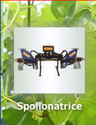 Spollonatrice